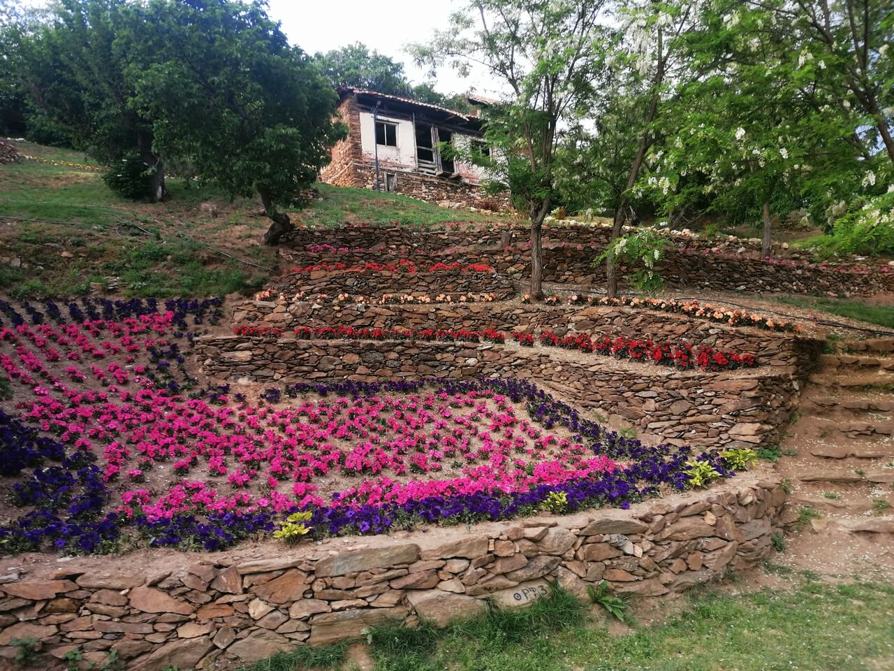 село долене стара къща и много цветя