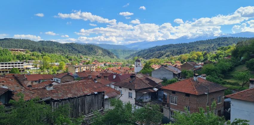 Елешница