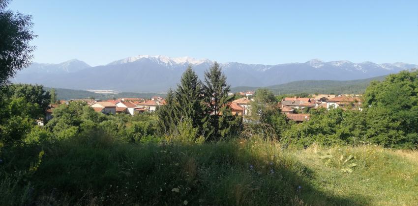 село Бачево