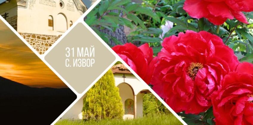 Поход до връх Колош и цъфнали Божури