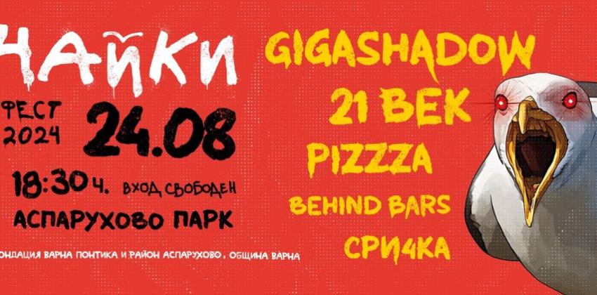 Рок Фестивал ЧАЙКИ ФЕСТ