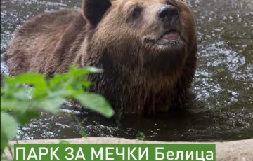 Мечките се събуждат: Паркът в Белица отваря на 1 април