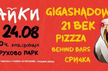 Рок Фестивал ЧАЙКИ ФЕСТ